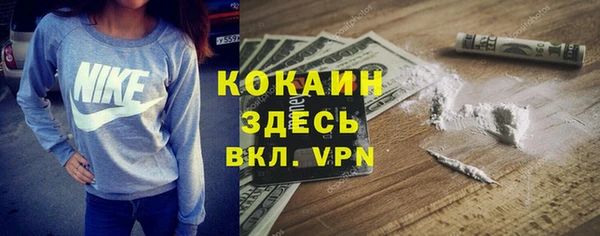 винт Алзамай