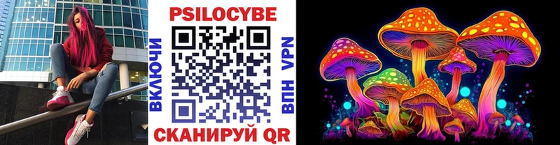 мега ONION  Черногорск  Псилоцибиновые грибы ЛСД 