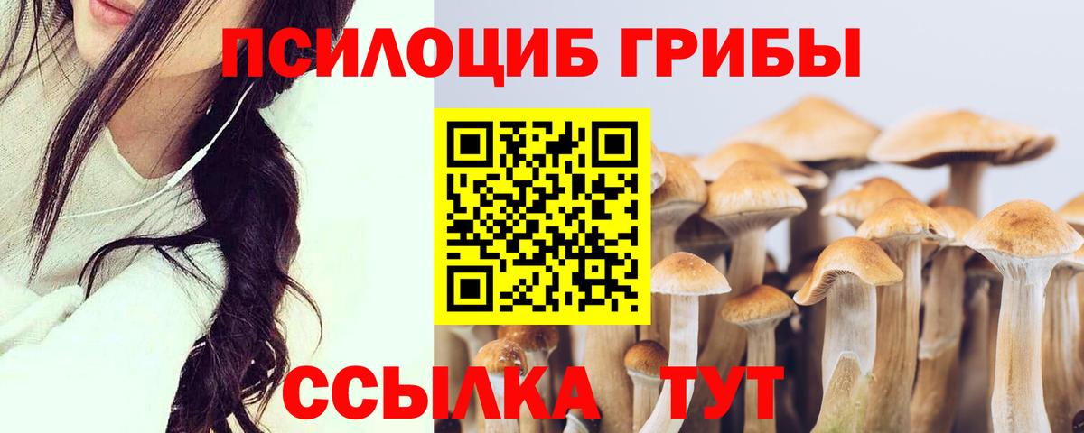 Галлюциногенные грибы MAGIC MUSHROOMS  Вход с VPN  купить  цена  Черногорск  Псилоцибиновые грибы Psilocybine cubensis 